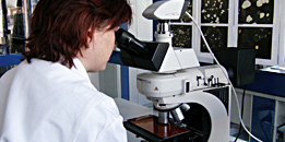 Kompetente Mitarbeiter stehen f&uuml;r Qualit&auml;t und technischen Fortschritt!